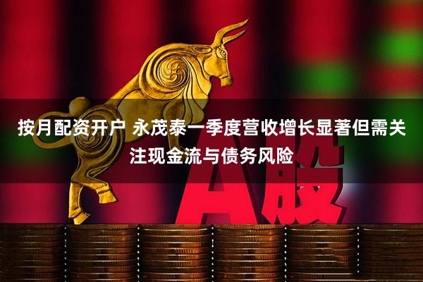 按月配资开户 永茂泰一季度营收增长显著但需关注现金流与债务风险