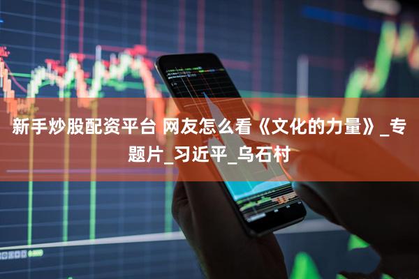 新手炒股配资平台 网友怎么看《文化的力量》_专题片_习近平_乌石村